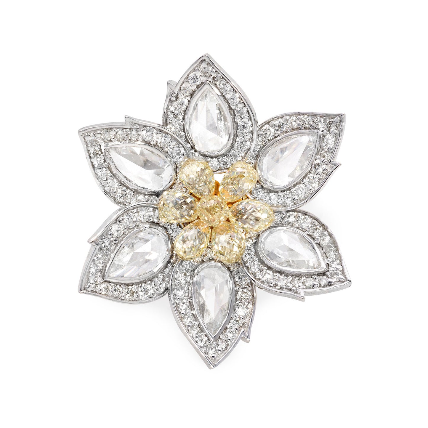 The Daisy image 0