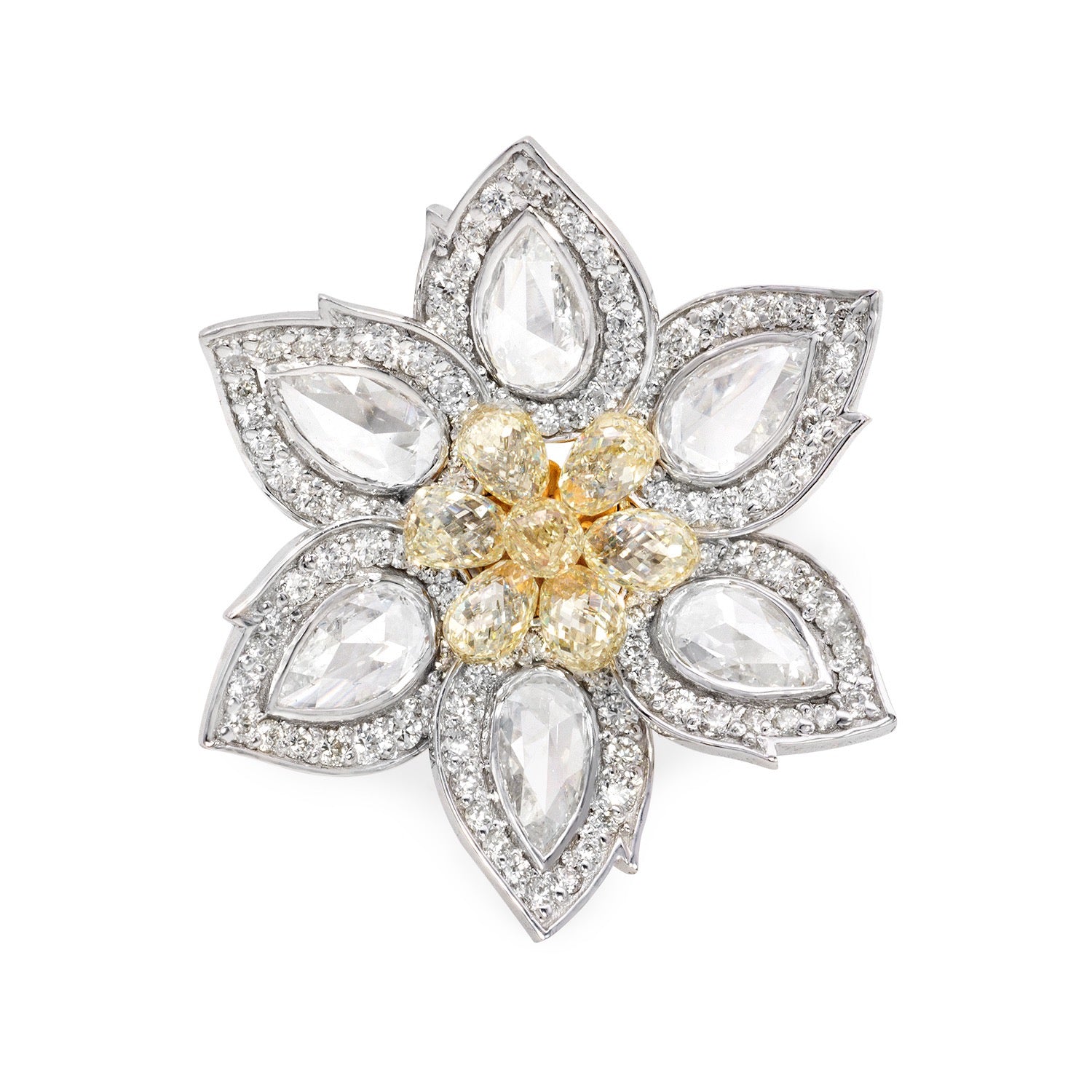 The Daisy image 0