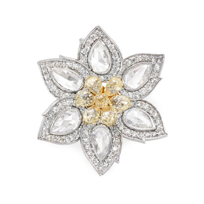 The Daisy image 0
