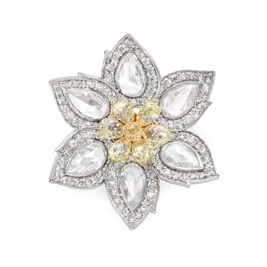 The Daisy image 0