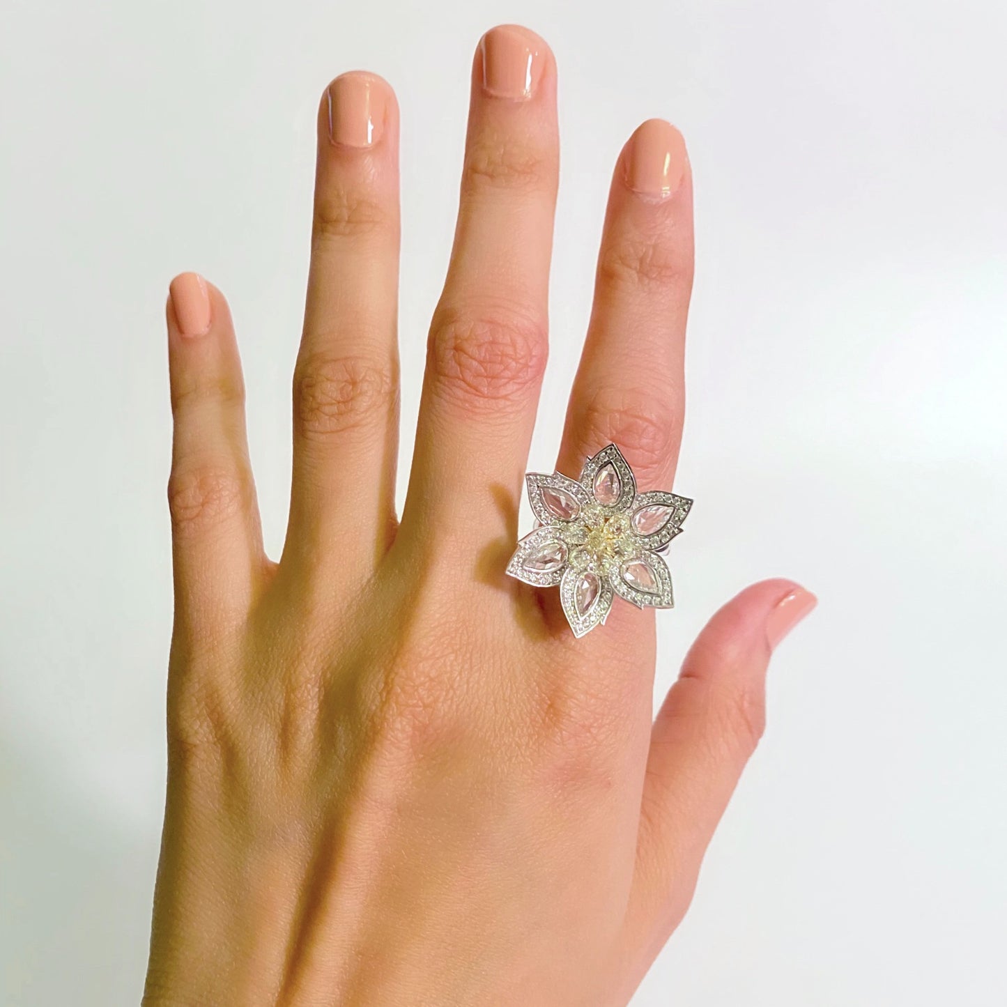 The Daisy image 2