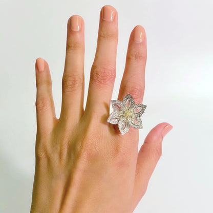 The Daisy image 2